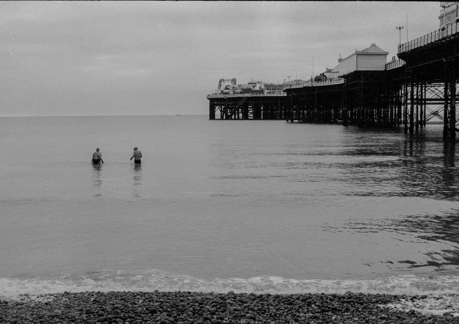 Solitude and murmurations